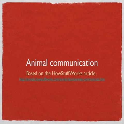 Animal Communication