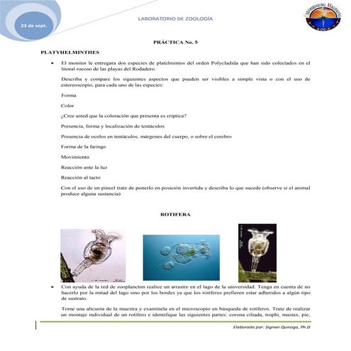 Practica no. 5 platyhelminthes, rotifera, nemertea