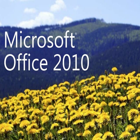 Office 2010 hns