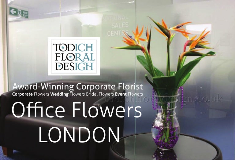 Office Flowers & Plants Delivery by Top London Florist Todich Floral