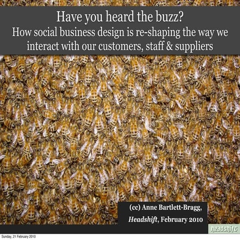 Have you heard the buzz?