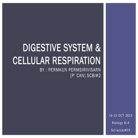 sci access 14th : presentation digestive system & cellular respiration ...