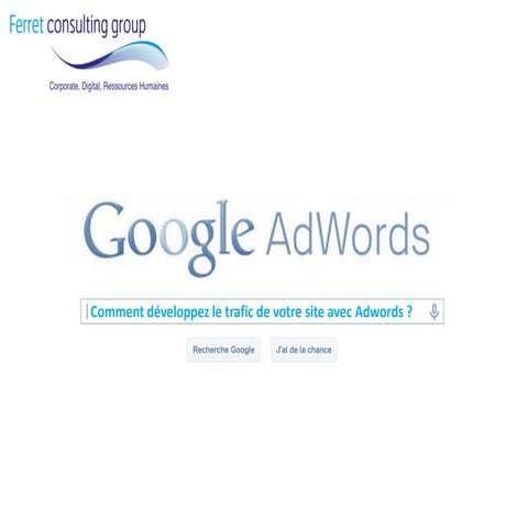 Offre de référencement payant Ferret consulting group