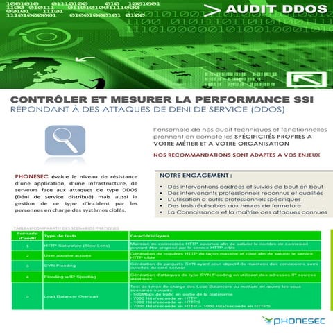 Audit Denial of Service (ddos)