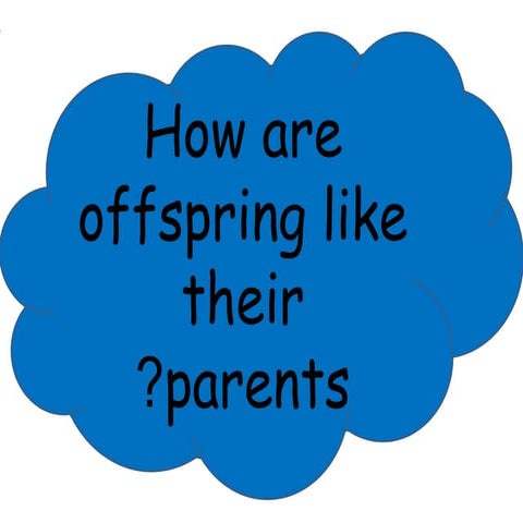Offspring like their parents