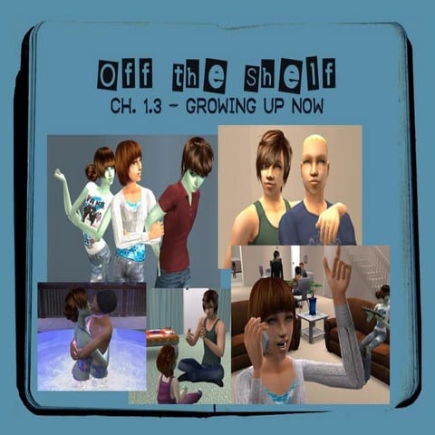 Off the Shelf 1.3