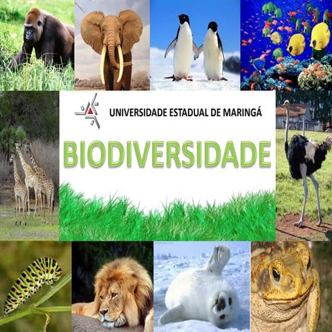 Oficina Pedagógica  - Biodiversidade