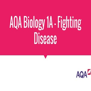 AQA Biology 1A Fighting Disease