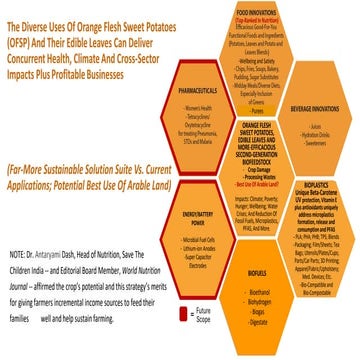 OFSP Perspectives Including Environmental | PDF