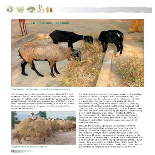 Of stalk and livestock