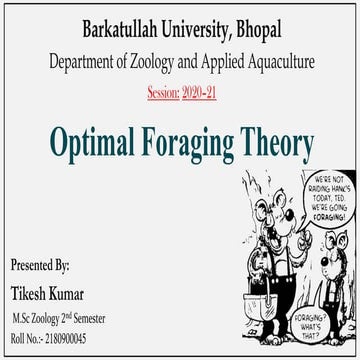 Optimal Foraging Theory (OFT) | PDF