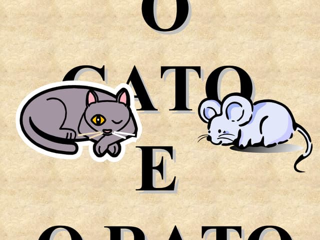 O Gato E O Rato