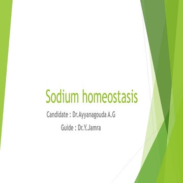 SODIUM HOMEOSTASIS
