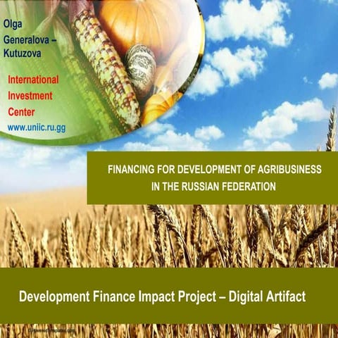 Ogk presentation financing for development