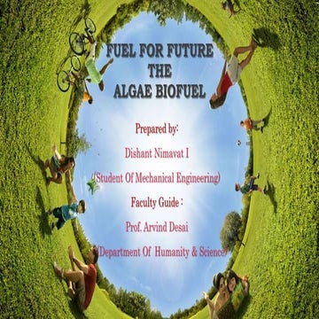 fuel for future : algae biofuel