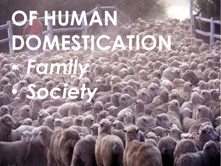 Of human domestication family and society