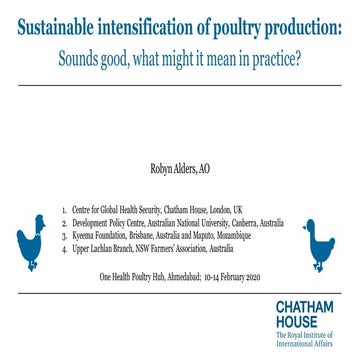  Presentation: 'Sustainable intensification of poultry production:​  Sounds g...