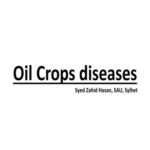 Oil crop diseases in bangladesh by zahid