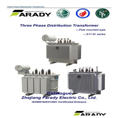 Oil immersed transformer