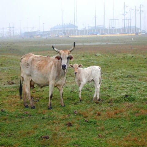 Oil Industry Photos Slideshow