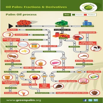 Palm Oil, Palm Kernel Oil Process - Fractions, Derivatives and Product Uses