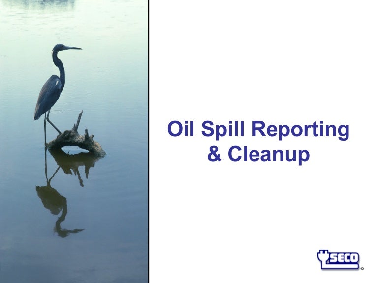 Oil spill reporting & cleanup