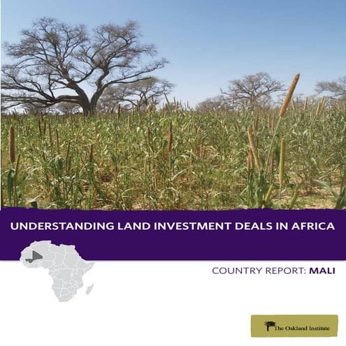 Understanding Land Investment Deals in Africa: Mali
