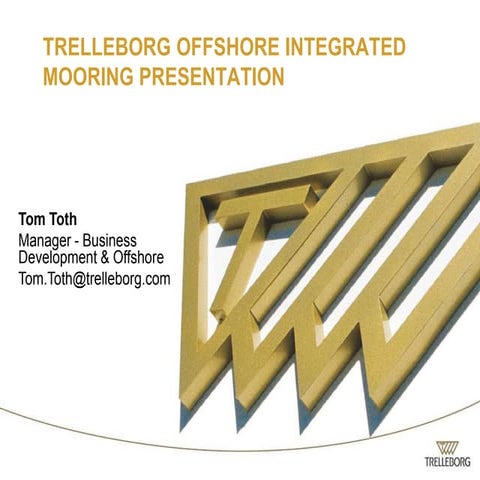  Oim presentation  rev tt nov 2010 vsersion