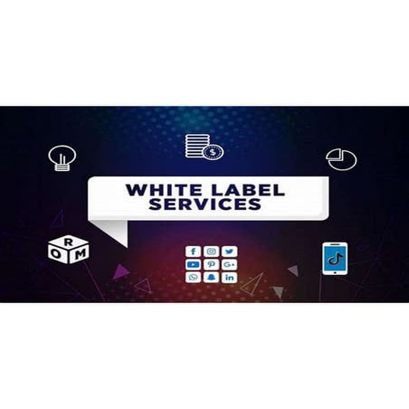 White Label Solutions enables faster launches of ready-made software. | PDF