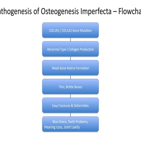 Osteogenesis inmperfecta Pathogenesis_Flowchart.pptx