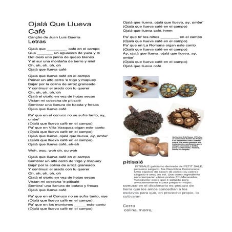 Ojalá que llueva café PDF