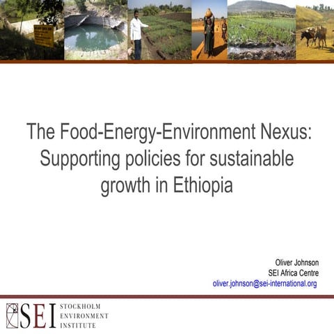  The Food-Energy-Environment Nexus:Supporting policies for sustainable growt...