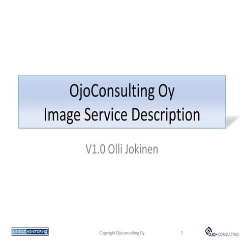 OjoConsulting Oy Image Service description