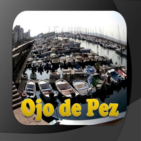 Ojo de Pez