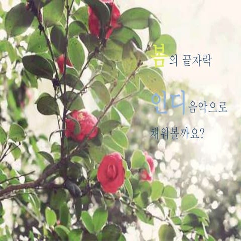 우양직원서로배움_인디음악세계