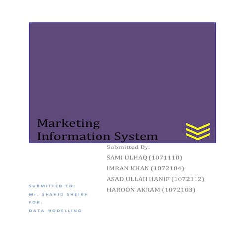 Marketing Information System (MIS) Feasibility Study and Data Modeling