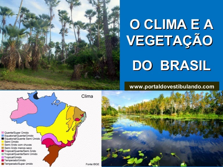 Clima e vegetação do Brasil