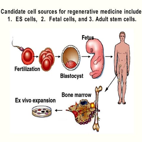 Okayama nakanishi 114.003