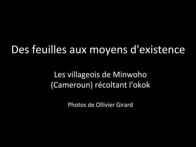 thumbnail of  Des feuilles aux moyens d'existence: Les villageois de Minwoho (Cameroun) récoltant l'okok