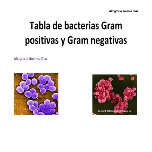 BACTERAS GRAM + Y NEGATIVAS