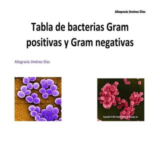  Tabla de bacterias Gram positivas ...