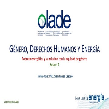 S3-Presentation-UNIDO-Skills-Assessment-Methodology-OLADE.pdf