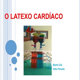 O latexo cardíaco