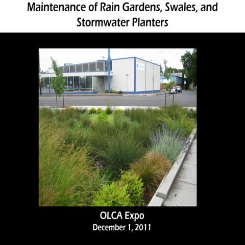 Mitigation Plants in Landscaping What They Are and Why They Matter.pdf