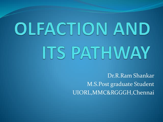Olfaction and  pathway