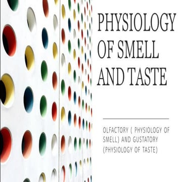 Human Physiology: Olfactory and gustatory | PDF