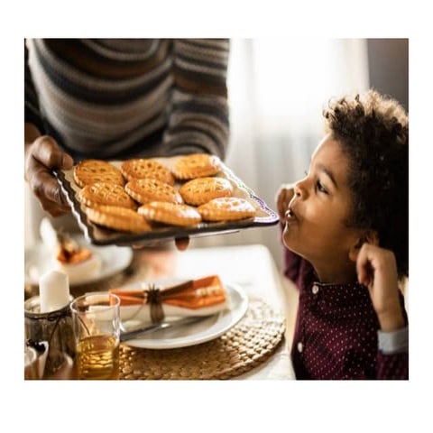 Olfactory and limbic system 20052025.pptx