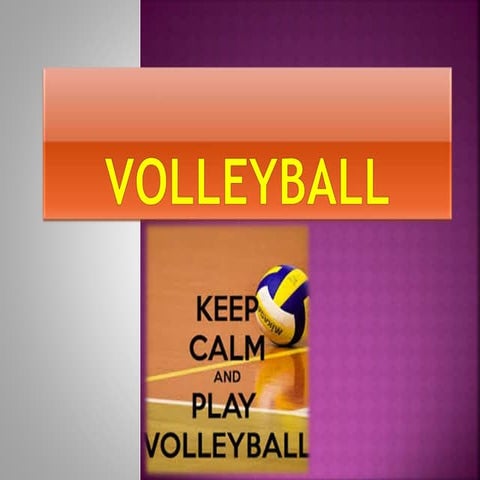 Volleyball