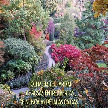 Olha teu jardim