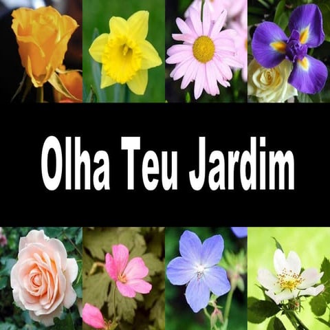 Olha Teu Jardim/elaine/coloniasespirituais